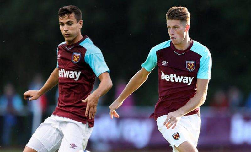 迷呈现出了 迷呈现出了